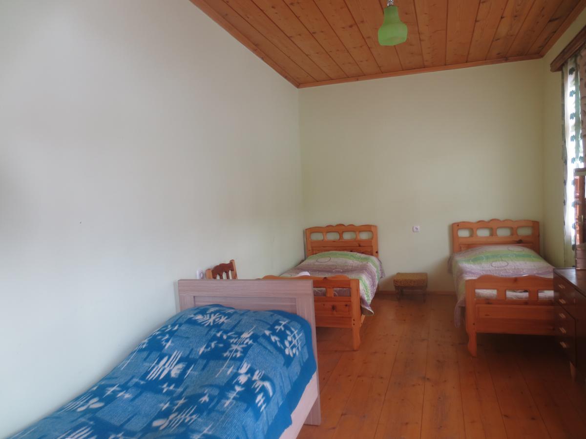 Irma Beso & Aleko Khergianis Guesthouse Mestia Dış mekan fotoğraf