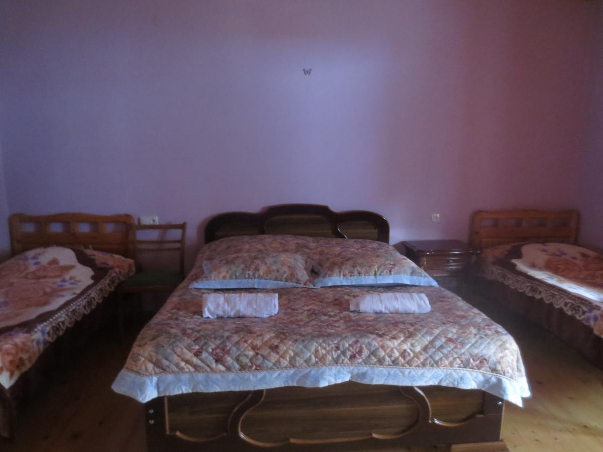 Irma Beso & Aleko Khergianis Guesthouse Mestia Dış mekan fotoğraf